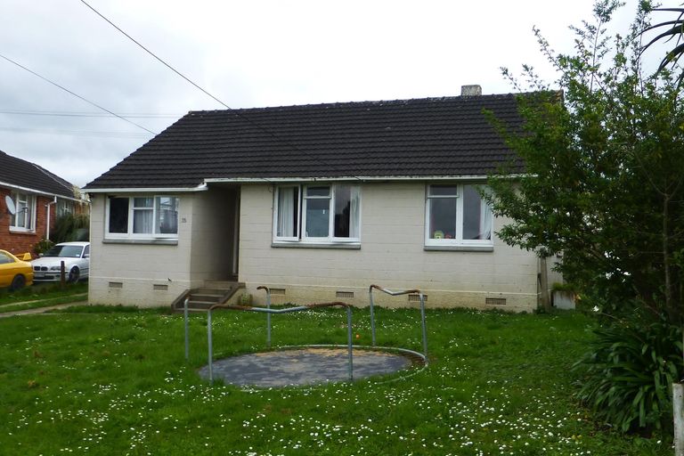 Photo of property in 16 Kohekohe Crescent, Meremere, Mercer, 2474