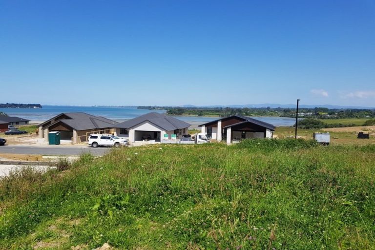 Photo of property in 50 Bert Wall Drive, Omokoroa, 3114