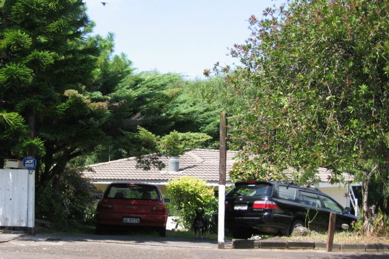 Photo of property in 12 Amsterdam Place, Avondale, Auckland, 0600