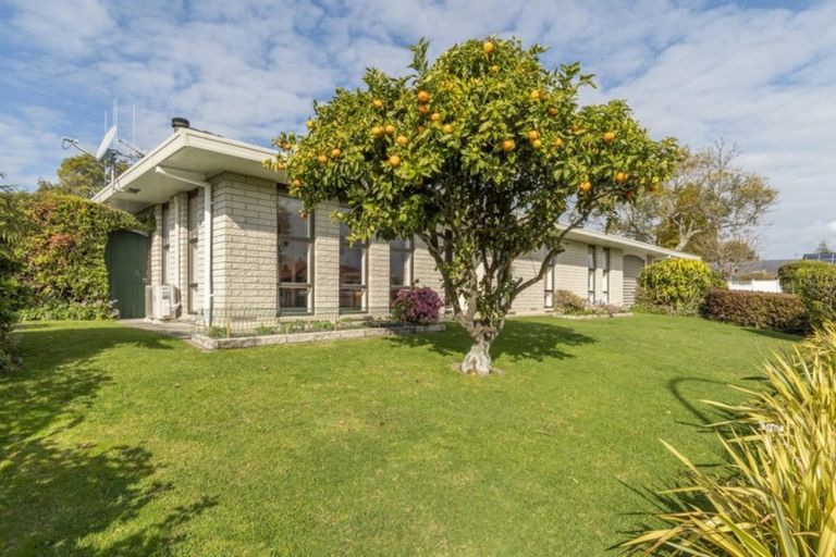 Photo of property in 5 Heron Avenue, Matua, Tauranga, 3110