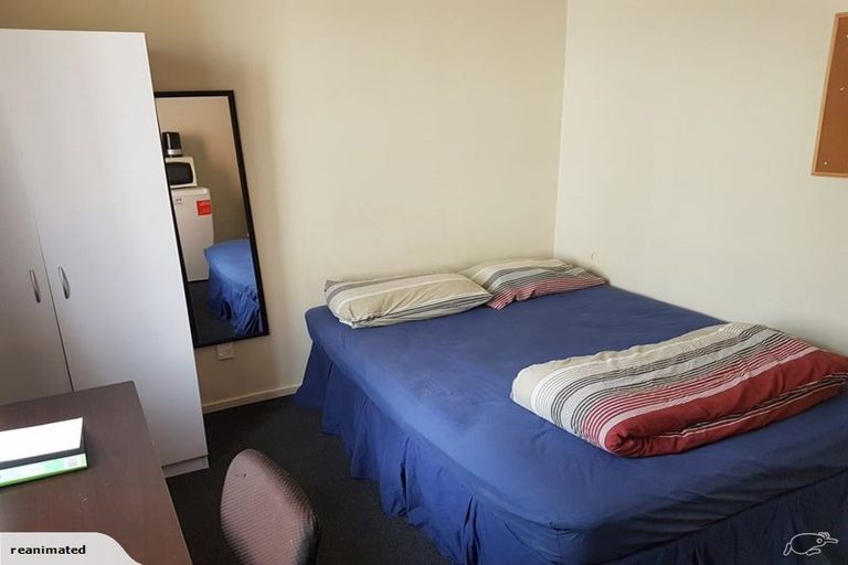 Photo of property in 28 Chambers Street, North East Valley, Dunedin, 9010