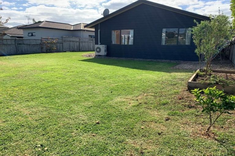 Photo of property in 81 Solomon Street, Brookfield, Tauranga, 3110