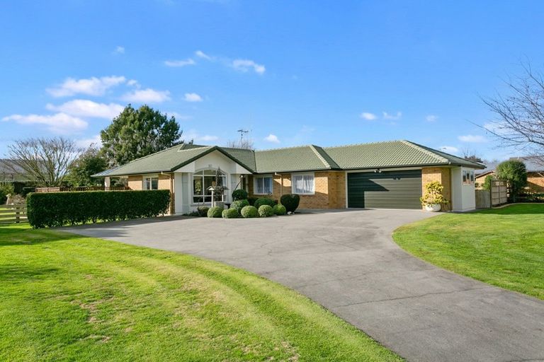 Photo of property in 12 Shadbolt Drive, Leamington, Cambridge, 3432