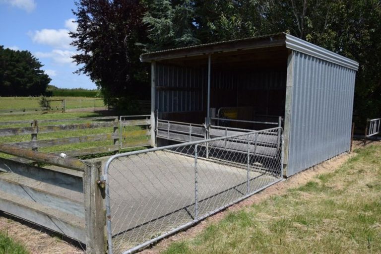 Photo of property in 699 Ryal Bush Wallacetown Road, Wallacetown, Invercargill, 9874