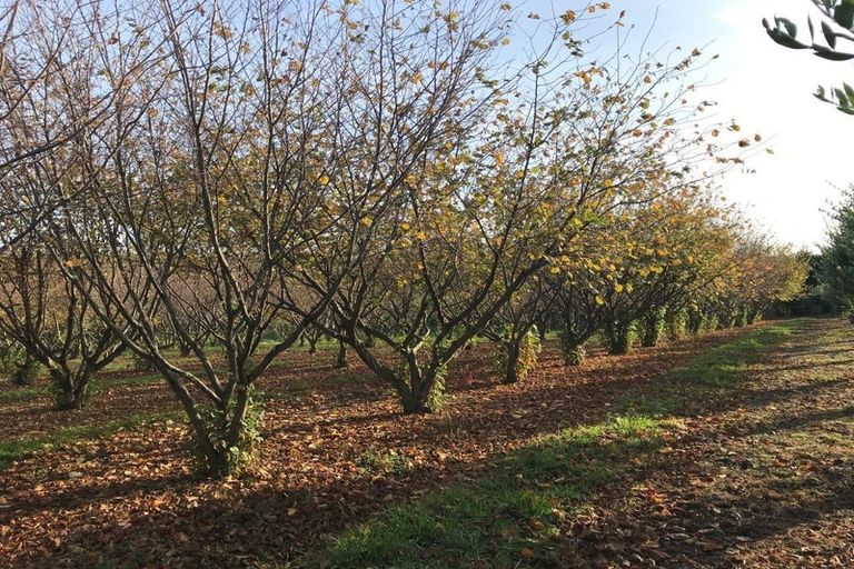 Photo of property in 466 Jeffersons Line, Marton, 4788