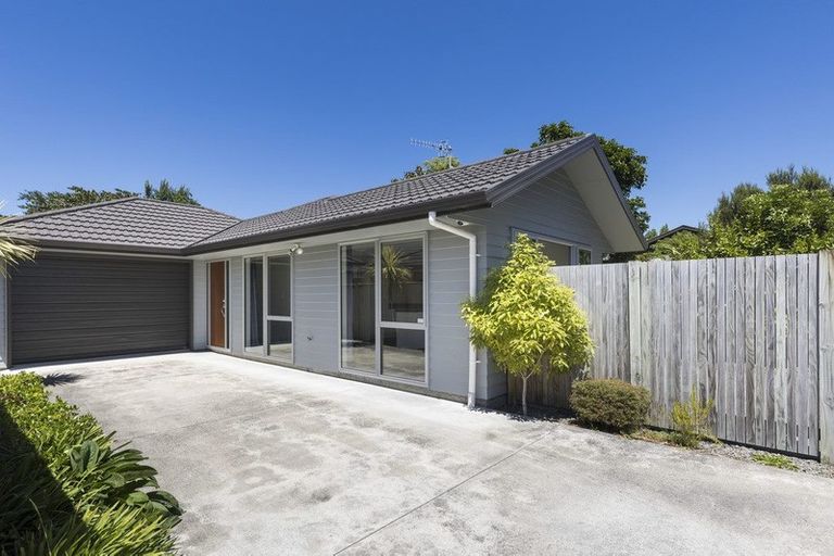 Photo of property in 49 Weston Avenue, Roslyn, Palmerston North, 4414