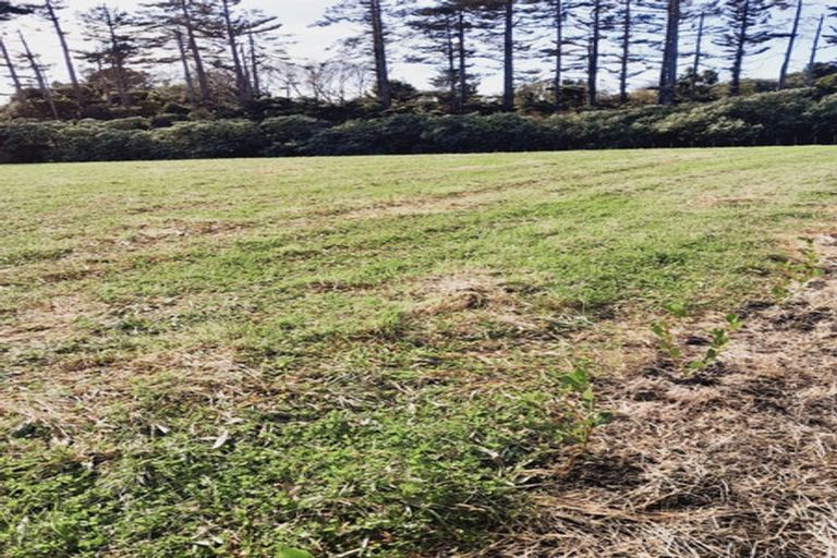 Photo of property in 177 Mountain Road, Sentry Hill, New Plymouth, 4373