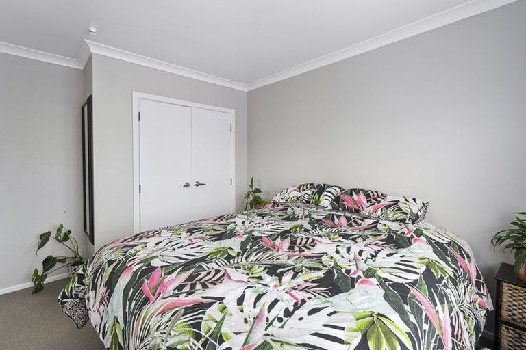 Photo of property in 20 Grand Street, Shannon, 4821