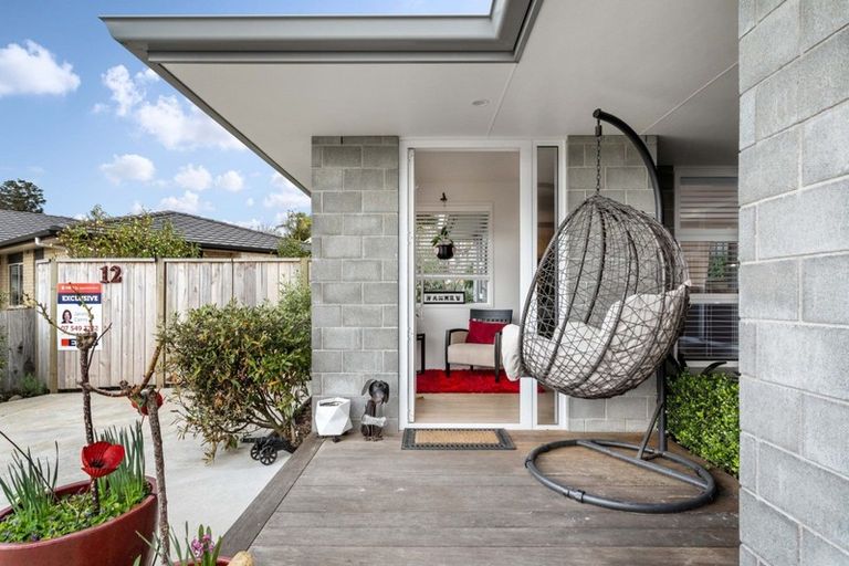 Photo of property in 12 Riverside Place, Katikati, 3129