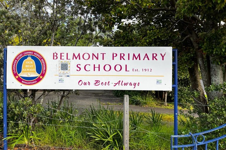 Photo of property in 12 Niccol Avenue, Narrow Neck, Auckland, 0624