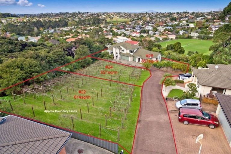 Photo of property in 24 Lorikeet Place, Unsworth Heights, Auckland, 0632