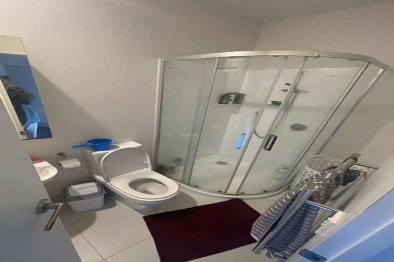 Photo of property in 21 Lemon Tree Lane, Flat Bush, Auckland, 2019