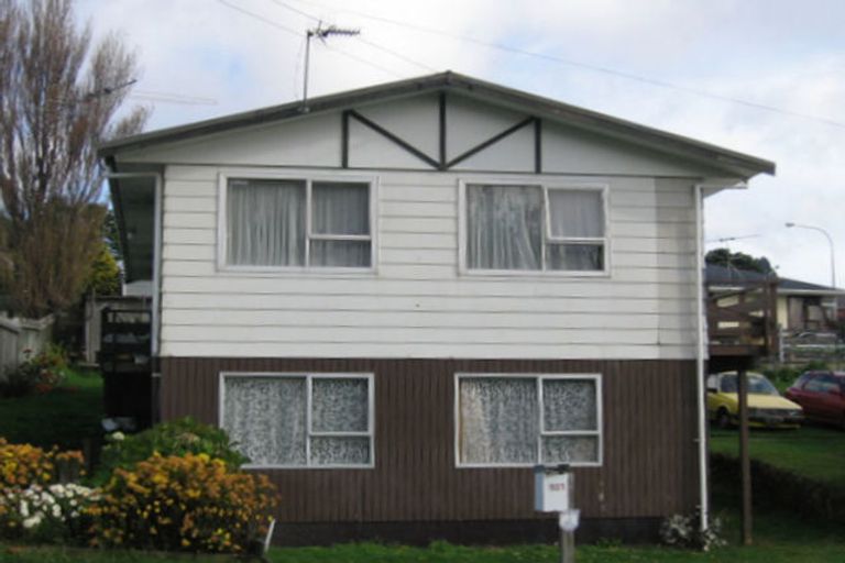 Photo of property in 137 Driver Crescent, Cannons Creek, Porirua, 5024