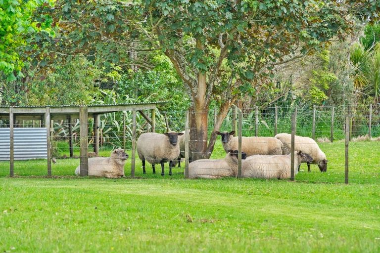 Photo of property in 842a South Head Road, South Head, Helensville, 0874