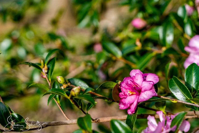 Photo of property in 7 Te Opi Road East, Whakapirau, Maungaturoto, 0583