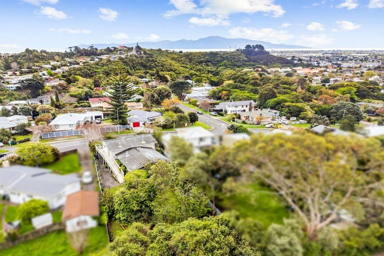 Photo of property in 131-133 Ruapehu Street, Paraparaumu, 5032