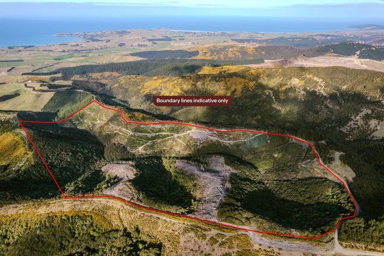 Photo of property in 24 Duncan Road, St Andrews, Hamilton, 3200