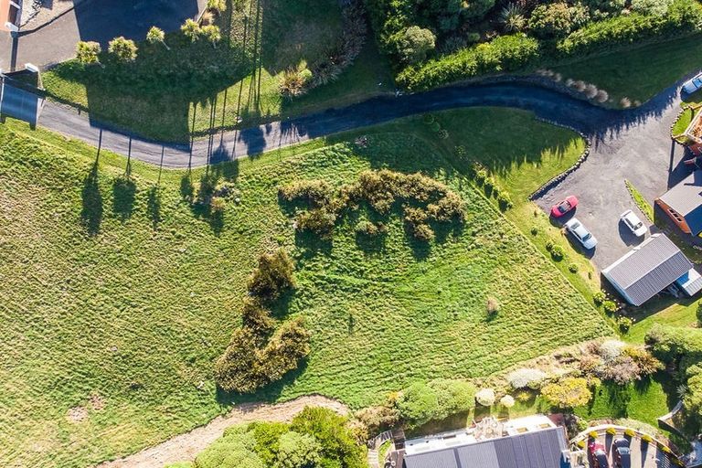 Photo of property in 11 Highgrove, Saint Clair, Dunedin, 9012