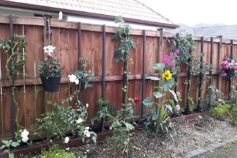 Photo of property in 321 Chapel Road, Flat Bush, Auckland, 2016