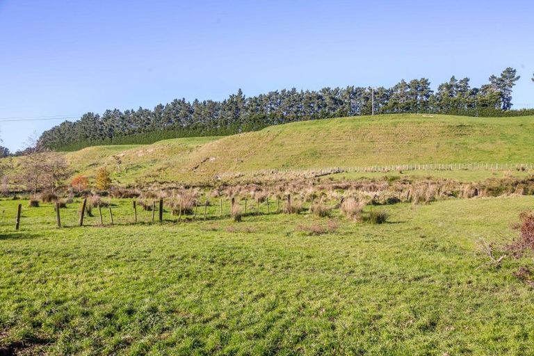 Photo of property in 595 Wards Line, Morison Bush, Greytown, 5794