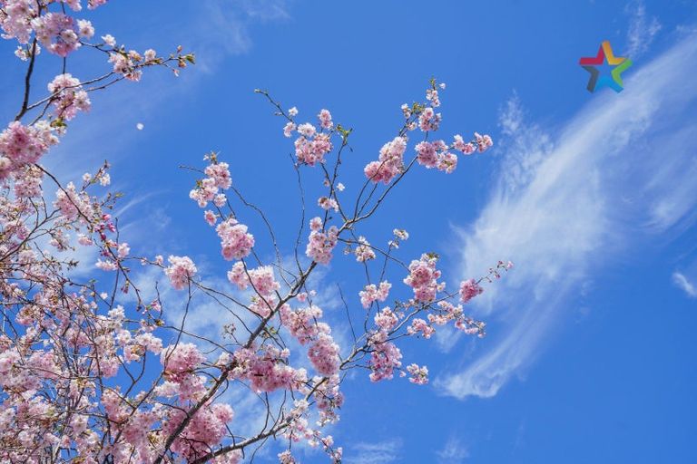 Photo of property in 1 Home Street, Winton, 9720