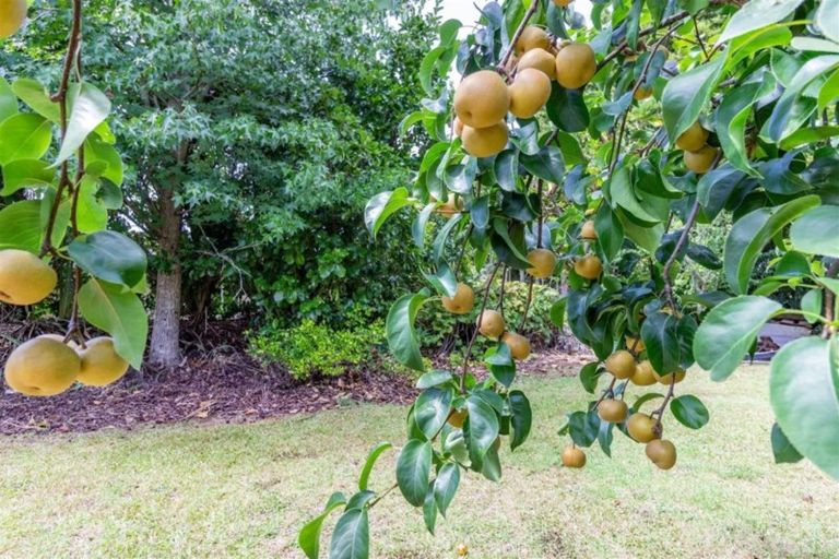 Photo of property in 17a Edkins Road, Kerikeri, 0230