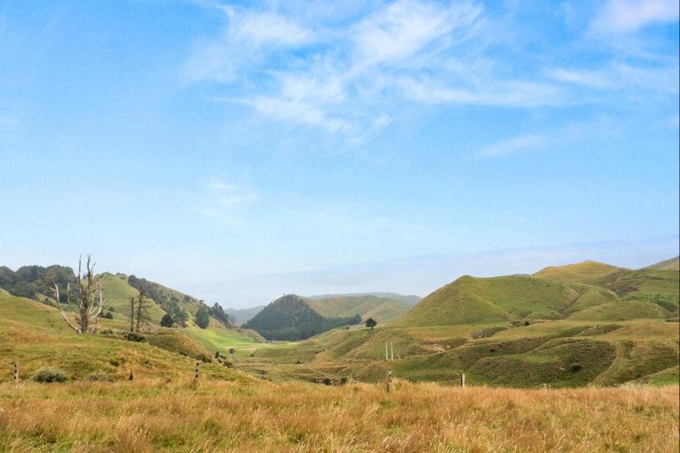 Photo of property in 29 Terrace Street, Matawai, 4075