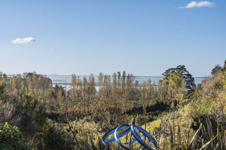 Photo of property in 101 Turntable Hill Road, Whakamarama, Katikati, 3181