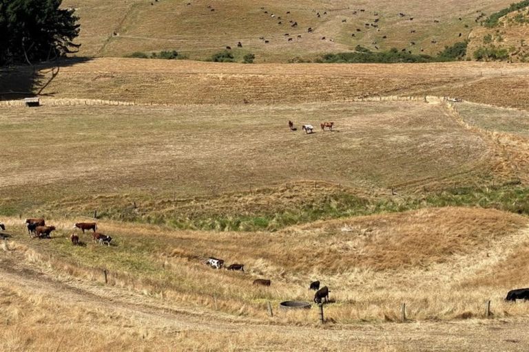 Photo of property in 114 Aorangi Road, Paeroa, 3600