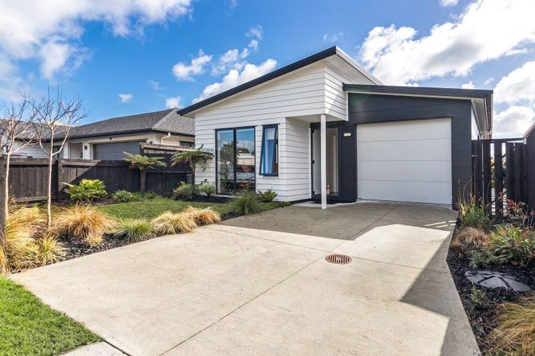 Photo of property in 73 Mclarin Road, Glenbrook, Waiuku, 2681