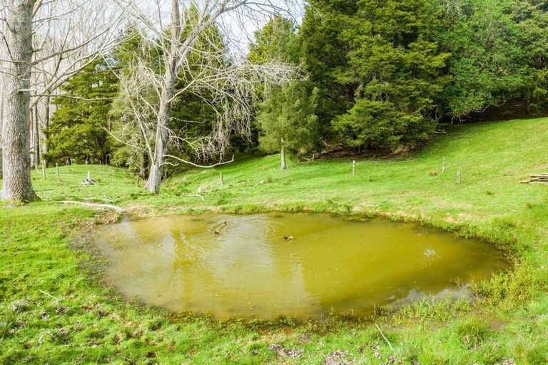 Photo of property in 1891 Pipiwai Road, Purua, Whangarei, 0176