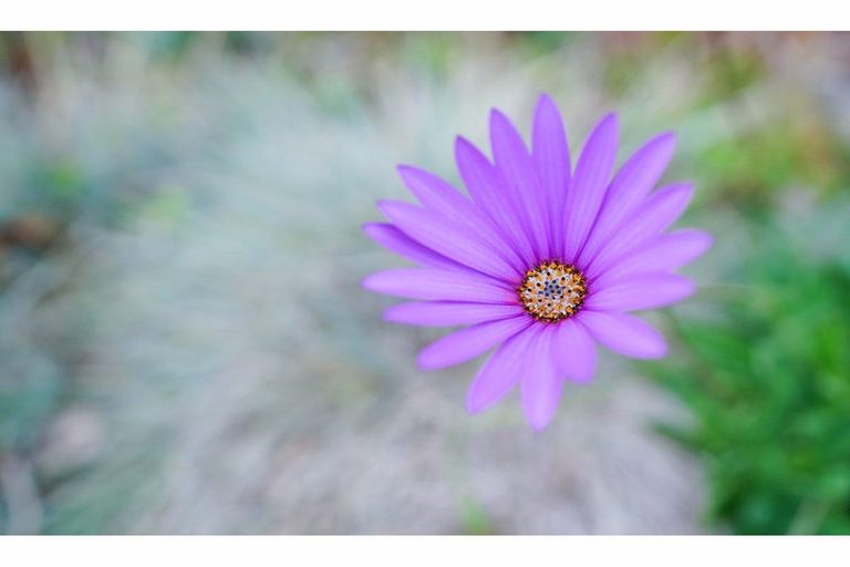 Photo of property in 17 Galway Street, Grasmere, Invercargill, 9810