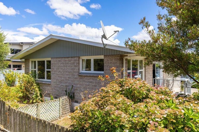 Photo of property in 2/9 Dillon Street, Blenheim, 7201