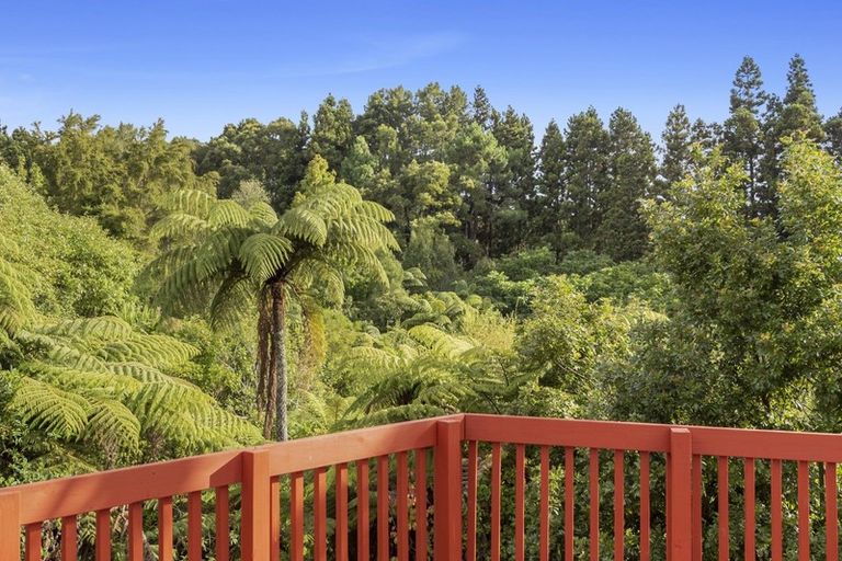 Photo of property in 45 Winstone Avenue, Chartwell, Hamilton, 3210