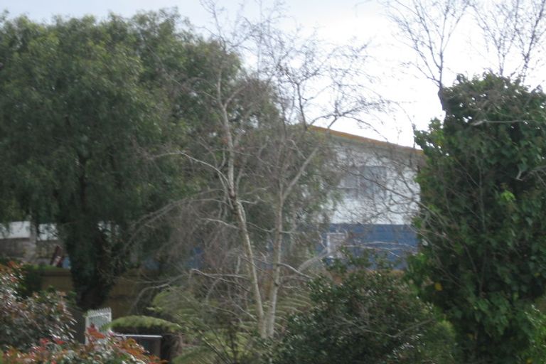 Photo of property in 40 Hazelwood Avenue, Dinsdale, Hamilton, 3204