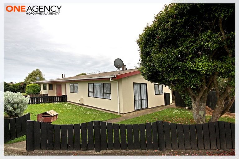 Photo of property in 133 Tiro Tiro Road, Levin, 5510