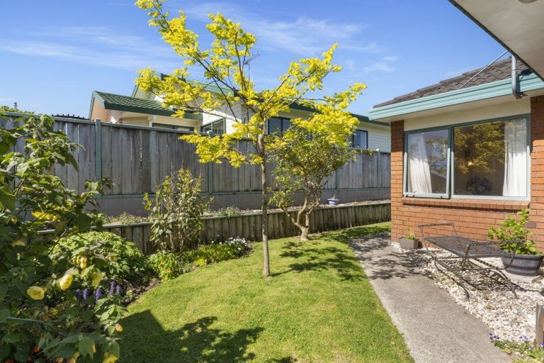 Photo of property in 18a Lisbon Street, Greerton, Tauranga, 3112