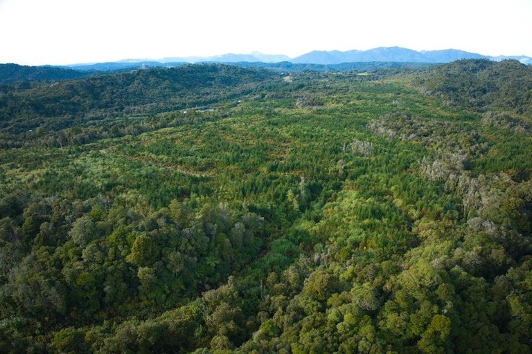 Photo of property in 330 Rutherglen Road, Marsden, Greymouth, 7805