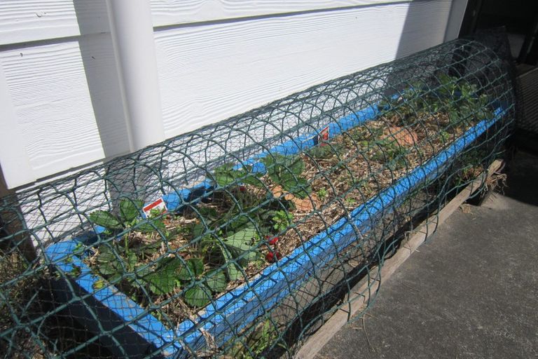 Photo of property in 93a Heads Road, Gonville, Whanganui, 4501