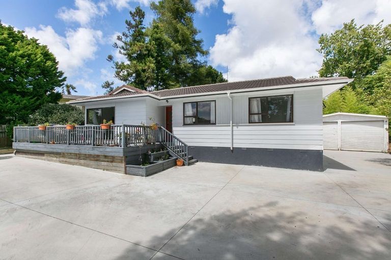 Photo of property in 55 Larissa Avenue, Henderson, Auckland, 0610