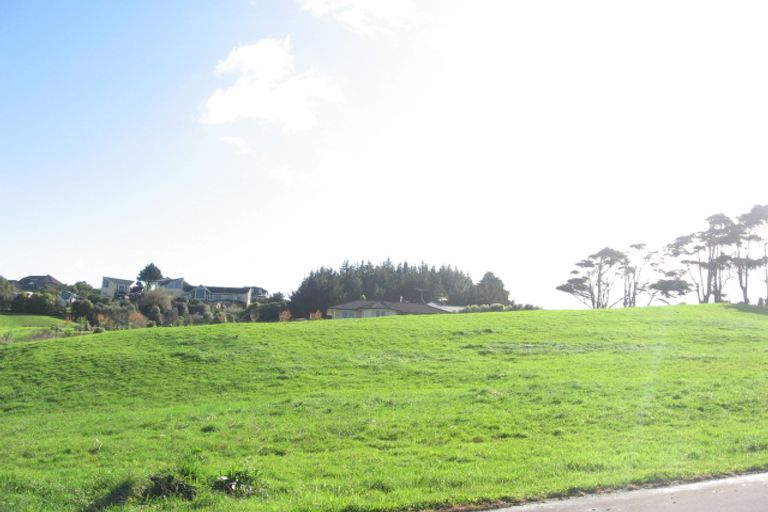 Photo of property in 116 Polo Prince Drive, Alfriston, Auckland, 2105