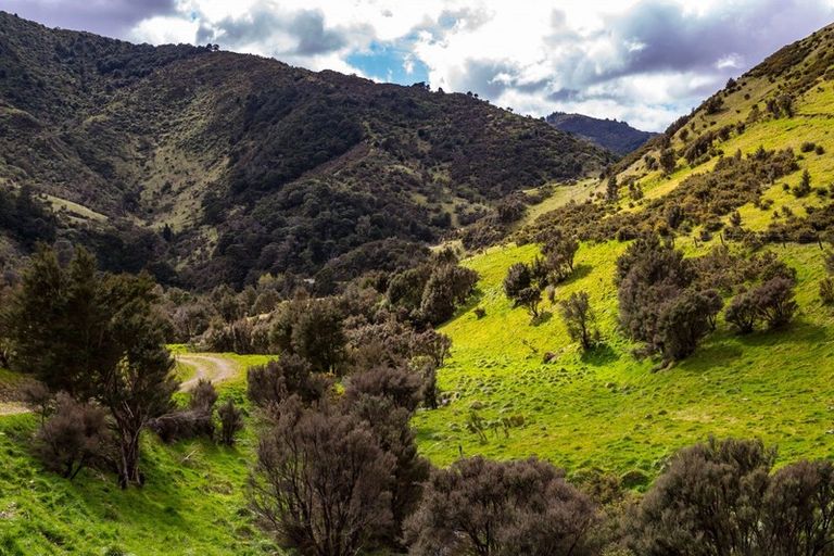 Photo of property in 843 Mangatarere Valley Road, West Taratahi, Carterton, 5791