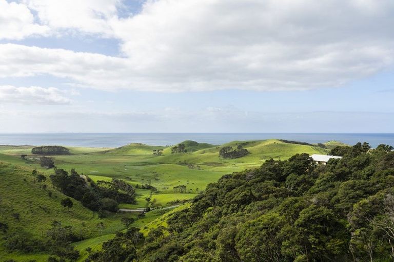 Photo of property in 310 Robinson Road, Whangarei Heads, Whangarei, 0174