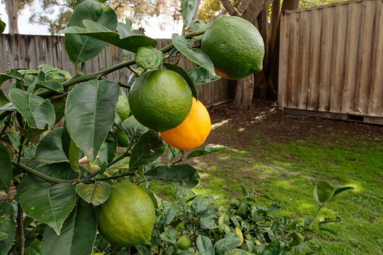 Photo of property in 173 Hakanoa Street, Huntly, 3700