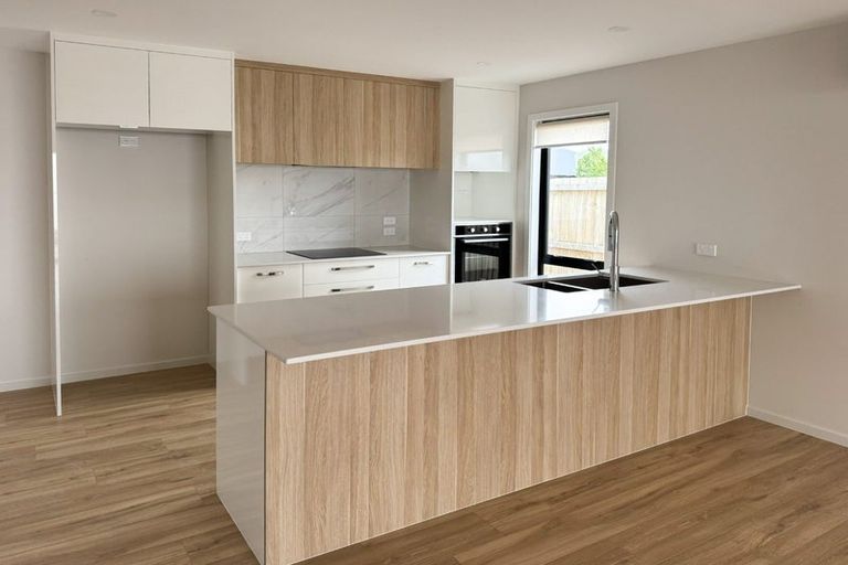 Photo of property in 46a Russell Lilley Drive, Rolleston, 7614