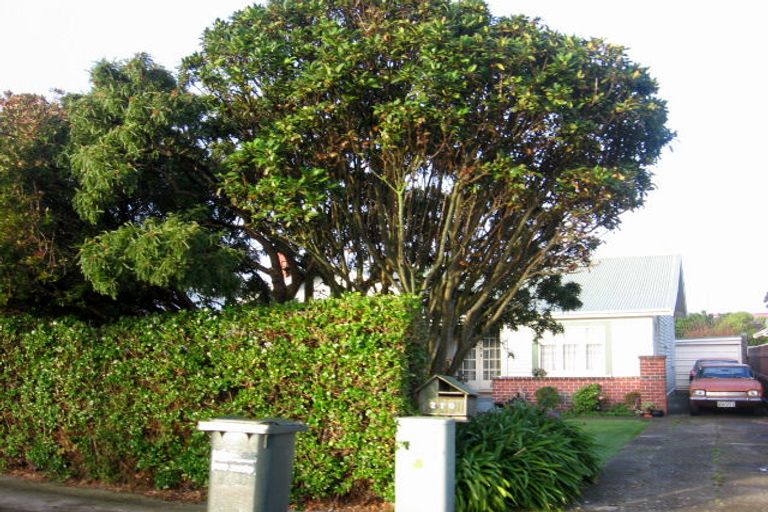 Photo of property in 210 Waterloo Road, Hutt Central, Lower Hutt, 5011