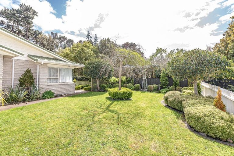 Photo of property in 41 Downes Avenue, Springvale, Whanganui, 4501
