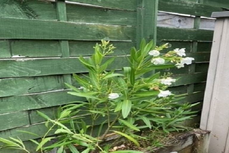 Photo of property in 3/46 Ngatoto Street, Ngaio, Wellington, 6035