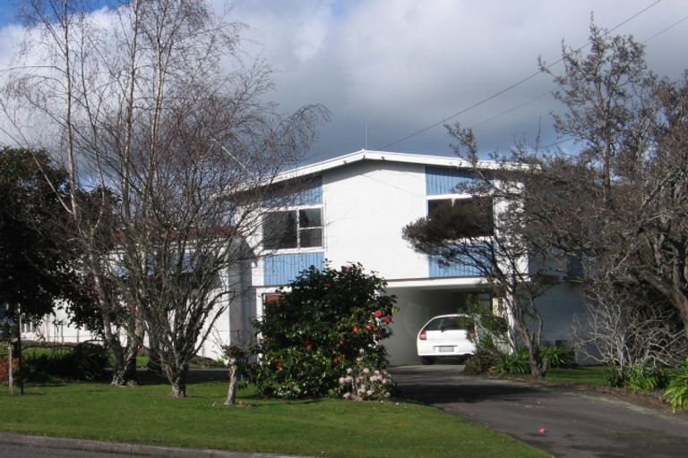 Photo of property in 62 Manuka Street, Lansdowne, Masterton, 5810