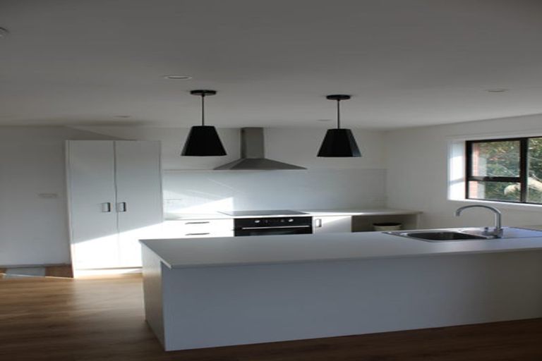 Photo of property in 10 Riselaw Road, Calton Hill, Dunedin, 9012